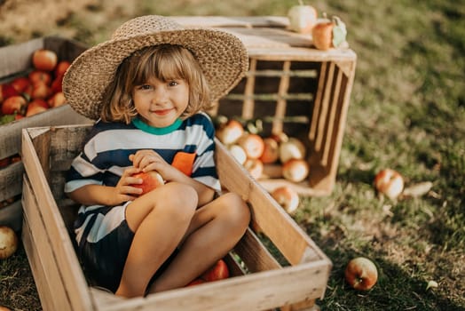 Cute little toddler boy holds ripe red apple in wooden box in orchard. Son in home garden explores plants, nature in autumn countryside. Amazing scene. Family, love, harvest, childhood concept