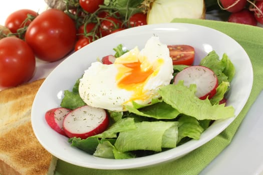 mixed colorful salad with poached egg