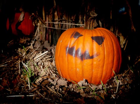 close-up of a halloween pumpkin in autumn leaves