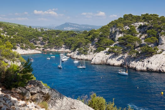 Moored boats in the  Calanques of Port Pin in Cassis  in France