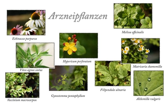 Medicinal plants