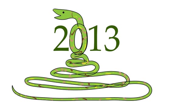 2013 Year of the Snake