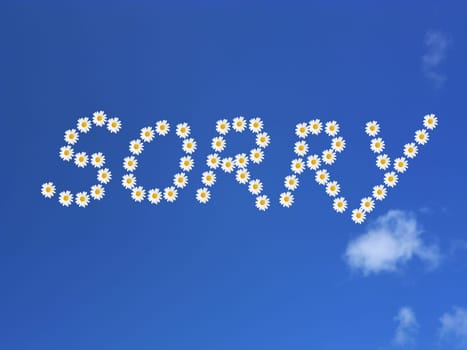 Sorry