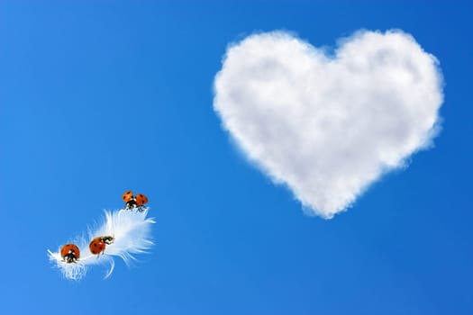 Liebesflug_01