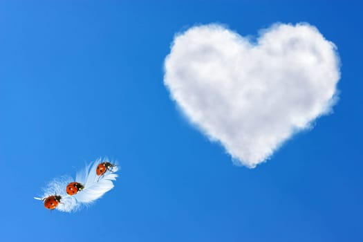 Liebesflug_02