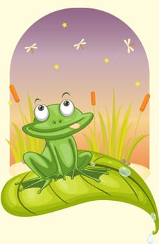 illustration of a frog on a white background