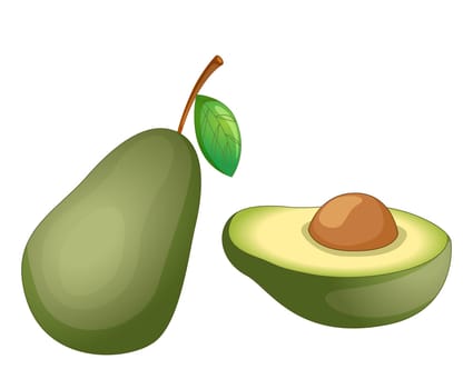 Illustration of friut on a white background
