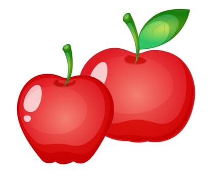Illustration of friut on a white background