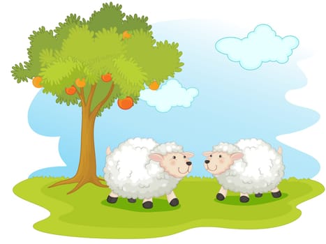 Illustration of two sheep in a field