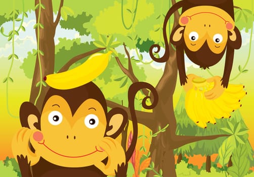 illustration of a monkeys on a white background