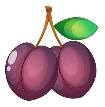 Illustration of friut on a white background