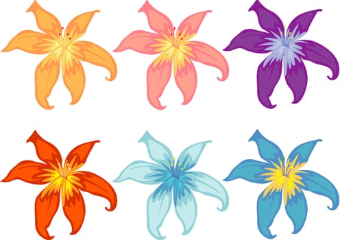 Illustration of flowers in different colours