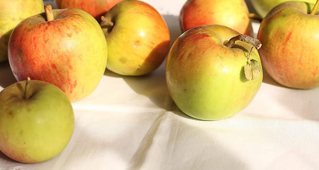 Apples without (New York)