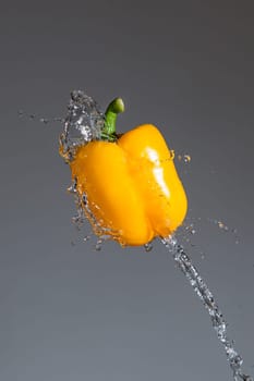 Splashing yellow pepper into water, over gray backgrounds
