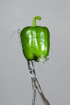 Splashing green pepper into water, over gray backgrounds