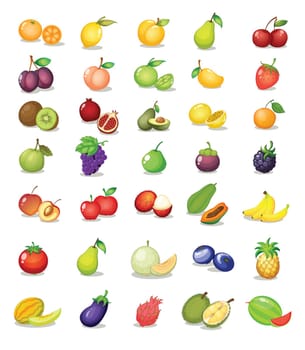 Illustration of fruit on white background