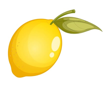 Illustration of friut on a white background