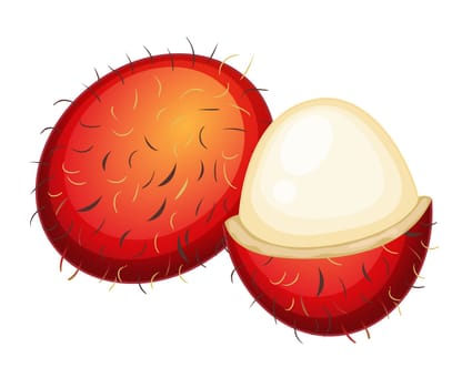 Illustration of friut on a white background