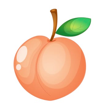 Illustration of friut on a white background