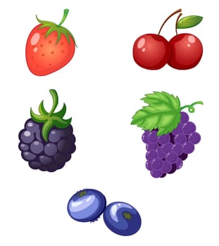 Illustration of fruits on a white background
