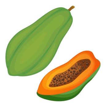 Illustration of friut on a white background
