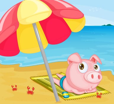 Illustration of pig at the beach