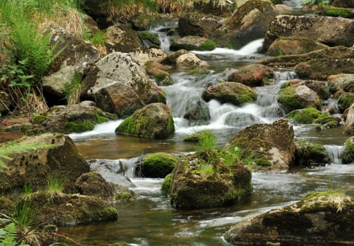 Waldbach in the Harz Mountains
