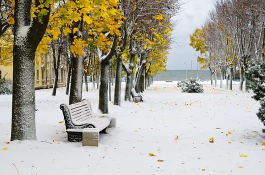 Alley in the Park later in the autumn. Snow storm