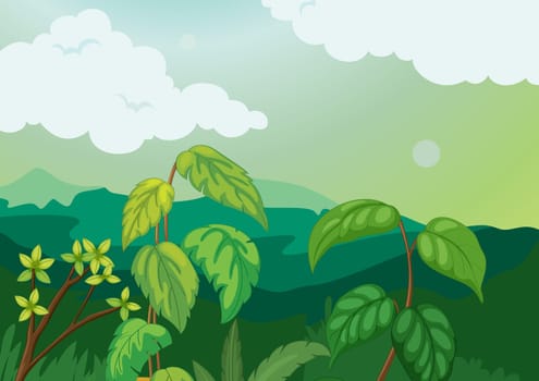 Illustration of a nature background