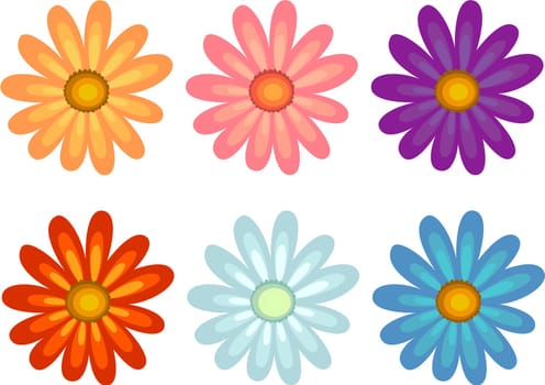 Illustration of flowers in different colours