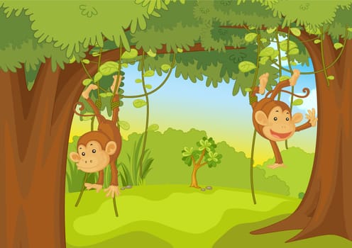 illustration of a monkeys on a hwite background