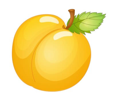 Detailed illustration of a pear on a white background