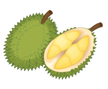 Illustration of friut on a white background