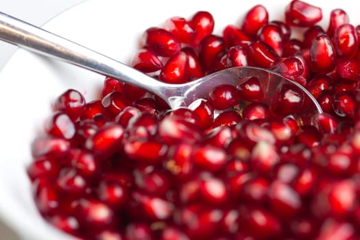 The pomegranate