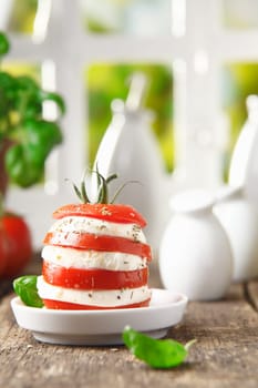 Healthy serving of alternating slices of cheese and ripe red tomato in an individual gourmet salad with copyspace