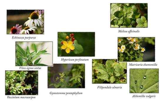 Medicinal plants