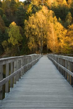 wooden path which leads over a lake to an autumn/fall forest