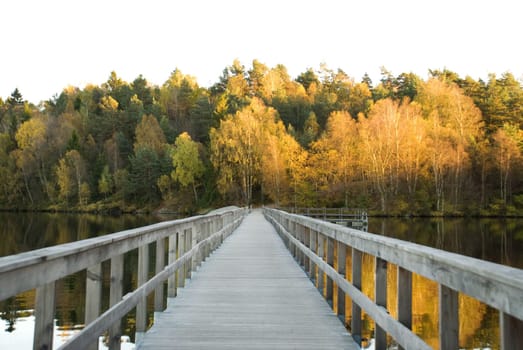 wooden bridge over a lake which leads to an autumn/fall forest