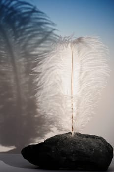Light as a feather