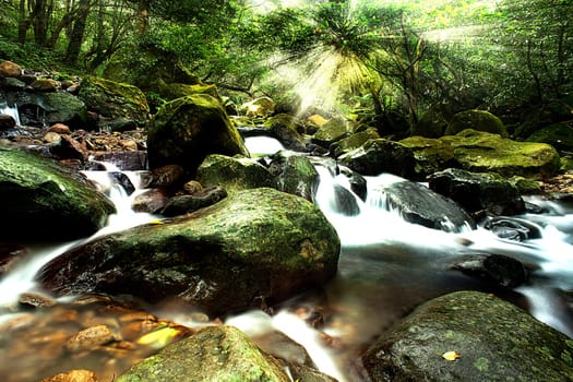 forest waterfall and rocks covered with moss for adv or others purpose use