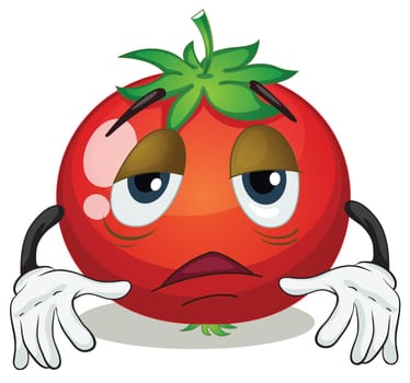 illustration of a tomato on a white background
