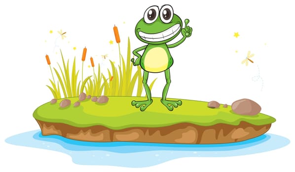 illustration of a frog and a water on a white background