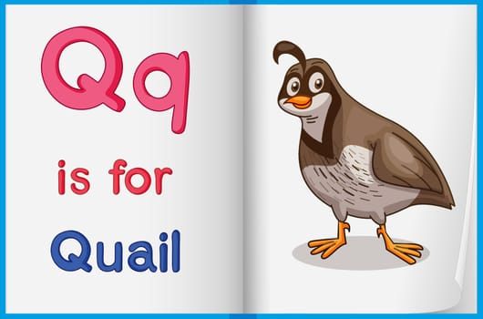 Illustrated voabulary learning sheet in a book