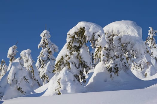 Winter view of snow covered mountain and trees with blue sky in the background