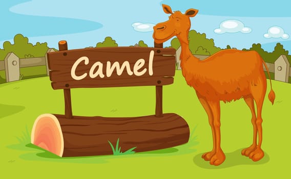 Illustration of animal enclosure at the zoo