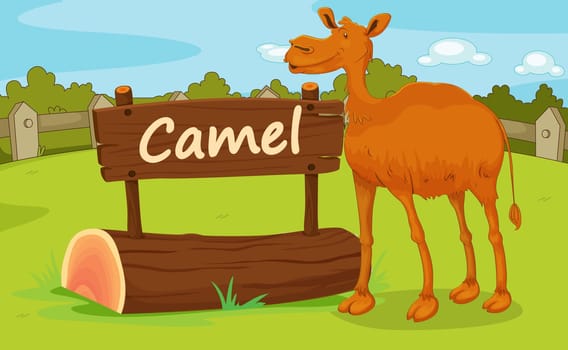 Illustration of animal enclosure at the zoo