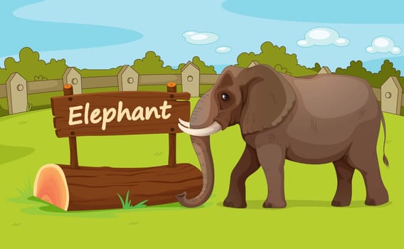 Illustration of animal enclosure at the zoo