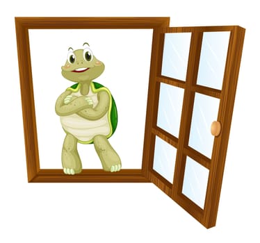 detailed illustration of a tortoise in a window