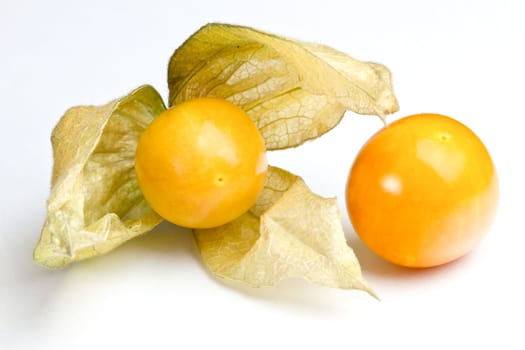 Physalis