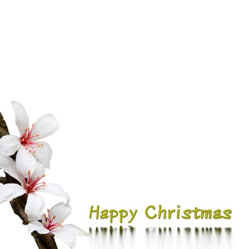 Christmas background design for adv or others purpose use